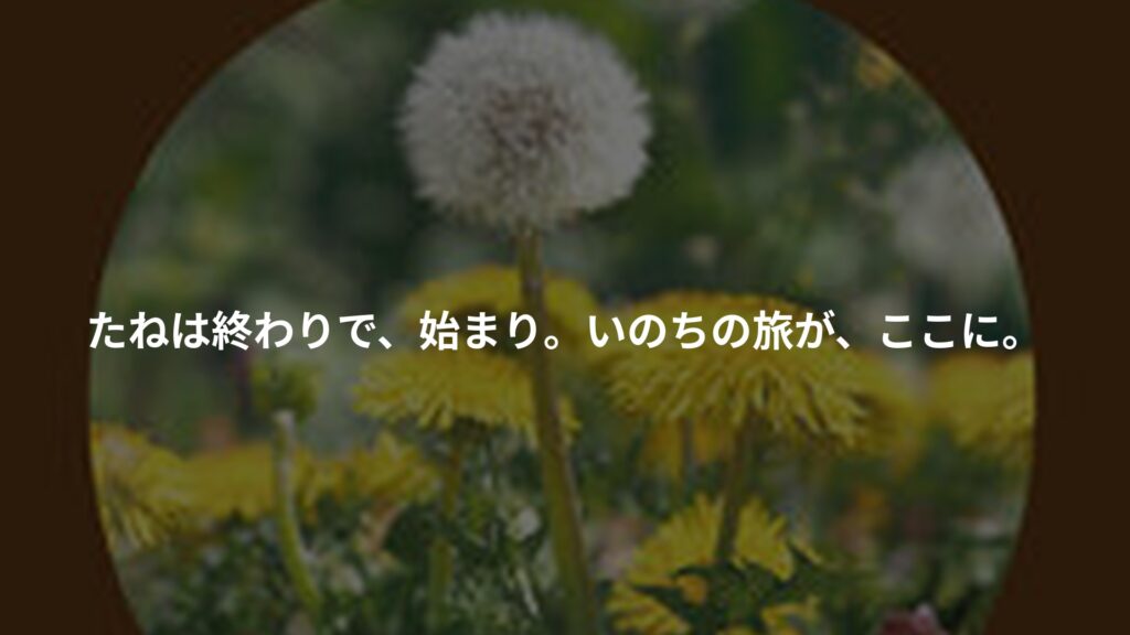 たねはいのちのおわりとはじまりのアイキャッチ画像
